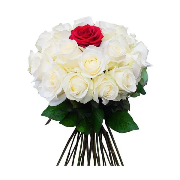 В центре внимания