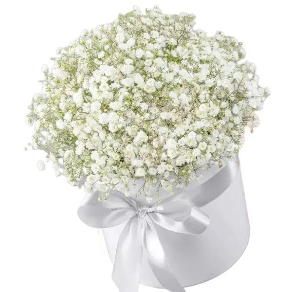 Шляпная коробка  из белой гипсофилы