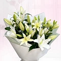 Лилии Лилии