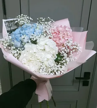 Воплощение мечты