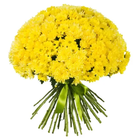 Солнечная мечта