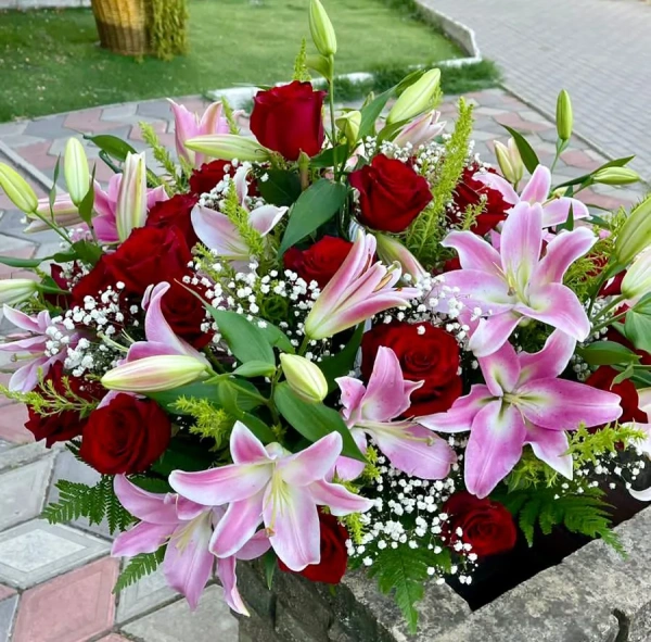 Корзина мечты