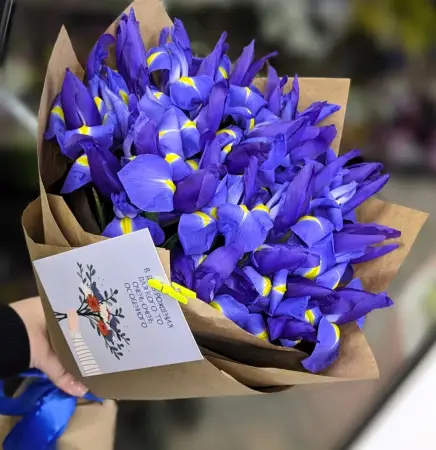 Просто Ирисы