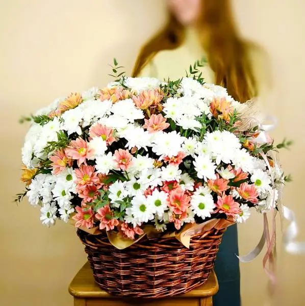 Хризантемное волшебство