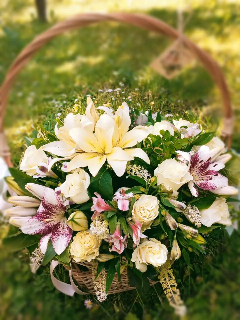 Алмазный свет 