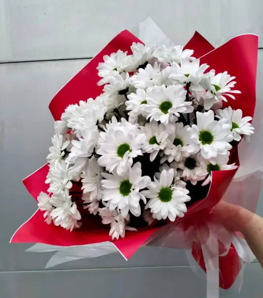 Деликатная ромашка