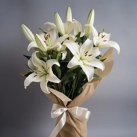 Лили Сюрприз