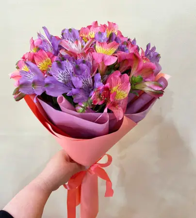 Звездный путь