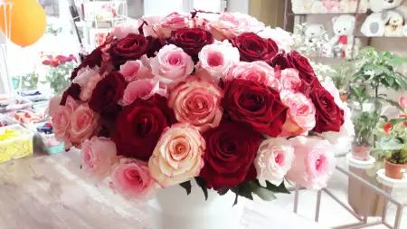 51 красная белая и розовая роза