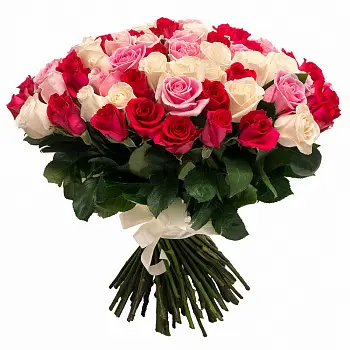 51 красная белая и розовая роза