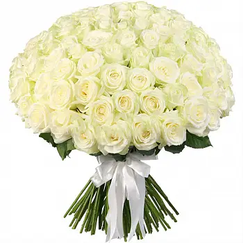 101 белая роза