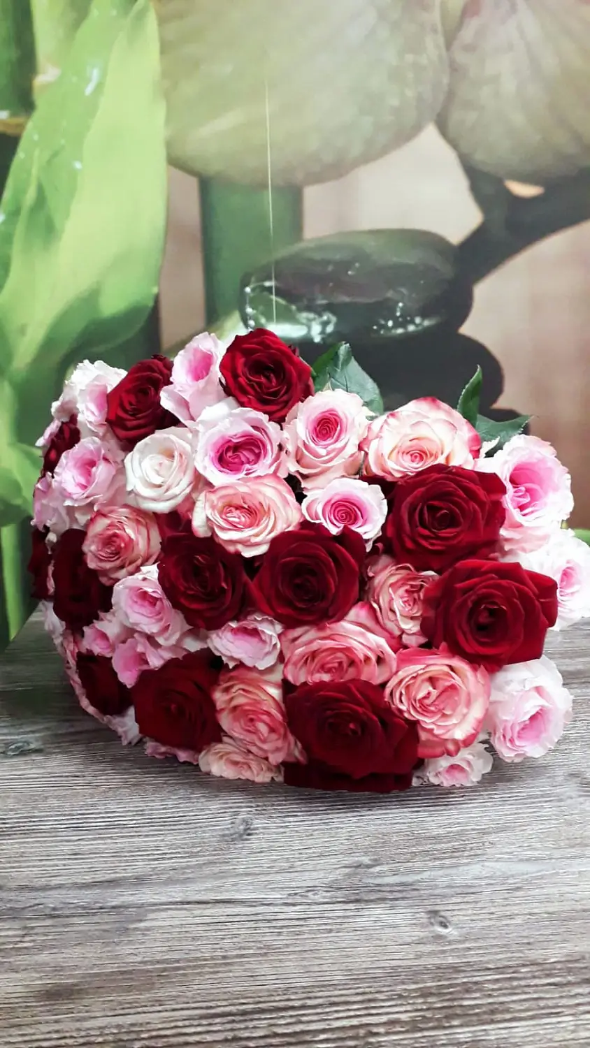 51 красная белая и розовая роза