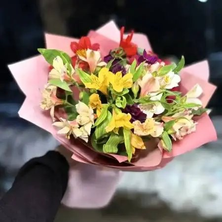 Солнечный карнавал